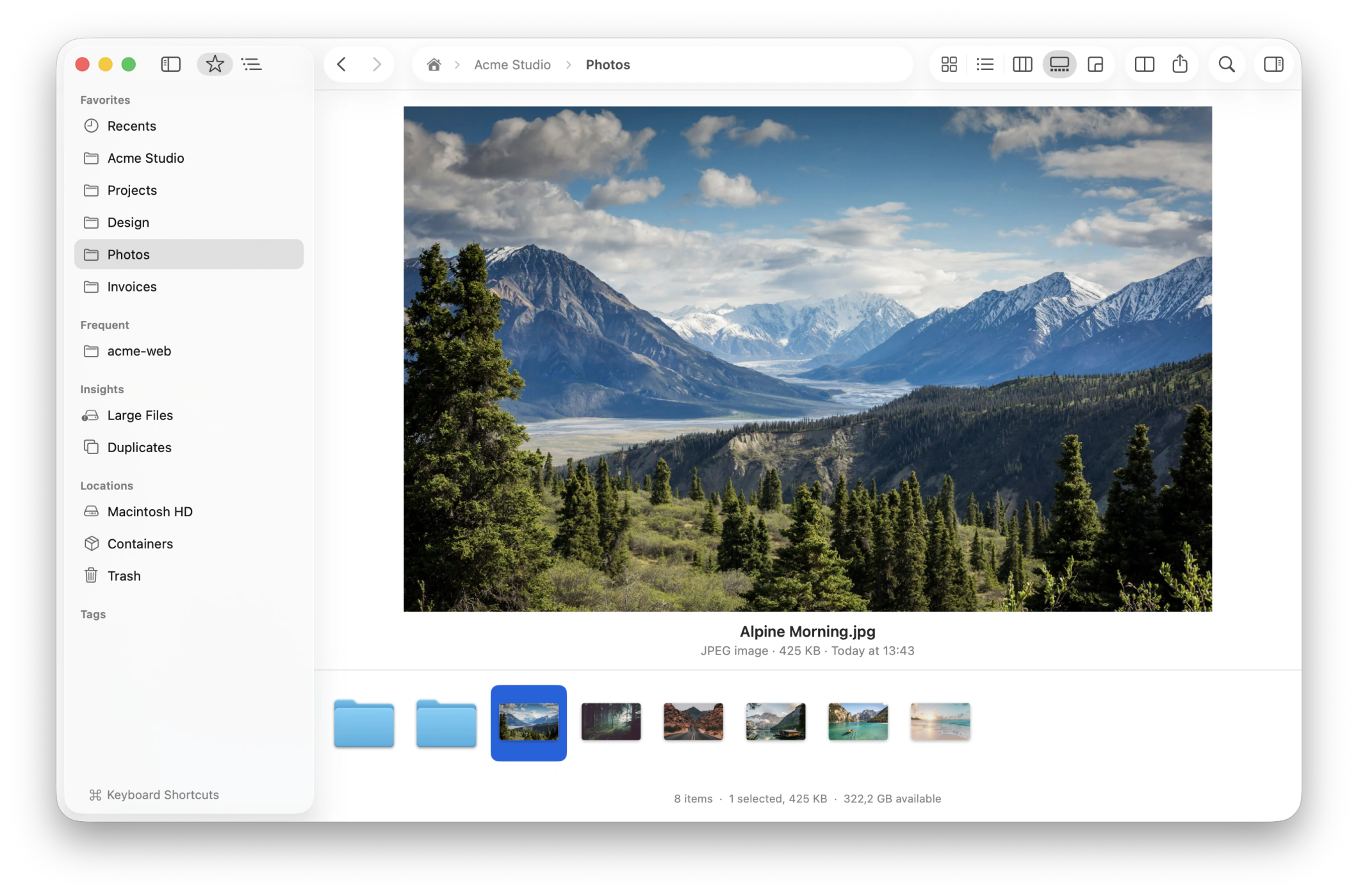 Zobrazení galerie s velkým náhledem fotografie a miniaturou filmového pásu